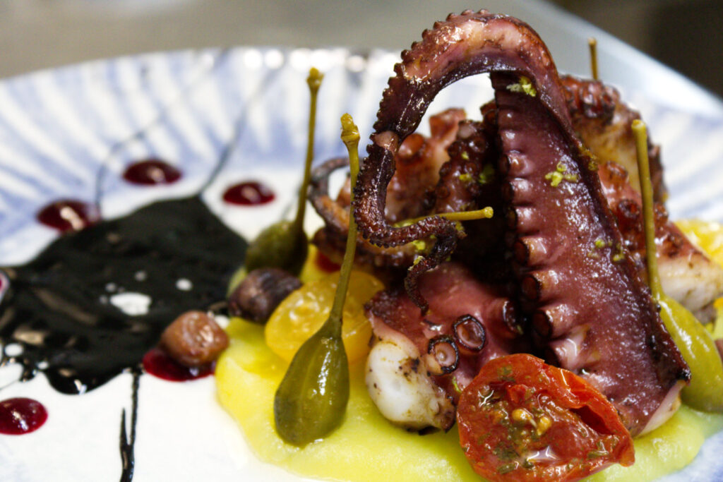 Tentacolo di polpo arrostito su crema di patate con pomodorini, frutti di cappero e riduzione al nero di seppia, specialità di pesce del ristorante La Perla del Pescatore a Desenzano del Garda.